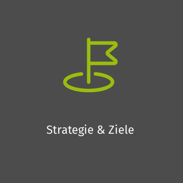 Strategie & Ziele